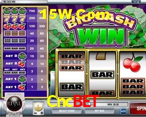 Cncbet,Cnc Bet App